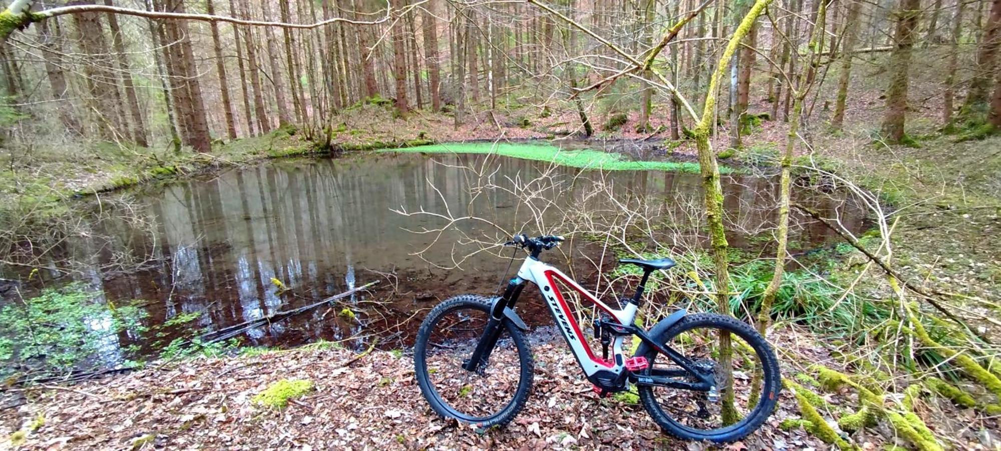 Ferienwohnung Hecht - Biketrail Fun & Relaxing 沃尔夫埃格 外观 照片