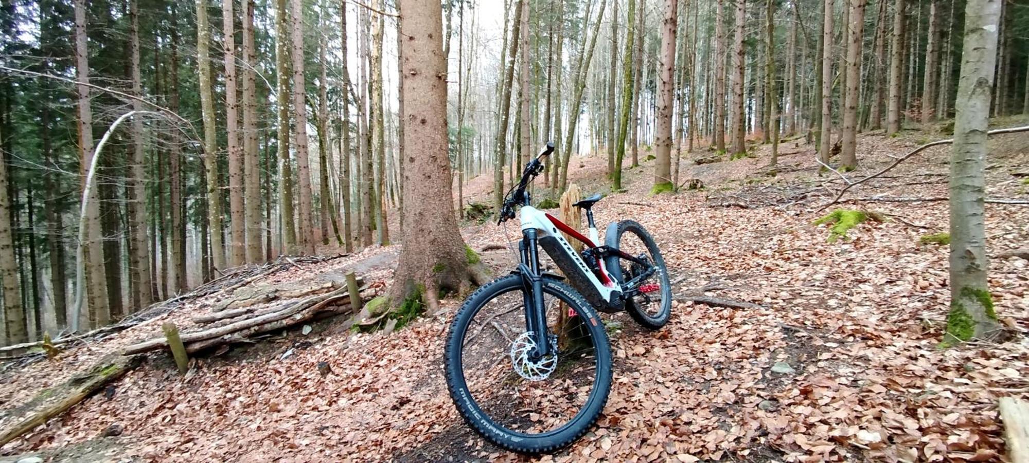 Ferienwohnung Hecht - Biketrail Fun & Relaxing 沃尔夫埃格 外观 照片